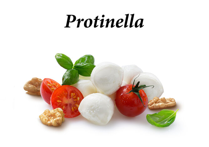 Bambini Protinella Mini von GOLDSTEIG. Proteinkäse mit viel Protein und reduziertem Fettgehalt, ohne Verpackung und mit frischen Basilikumblättern, Kräutern, Tomatenstücken und Walnüssen